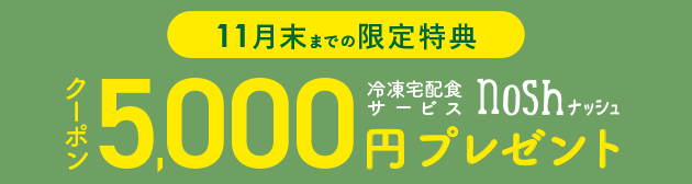 11月末まで限定特典5,000円OFFクーポンプレゼント